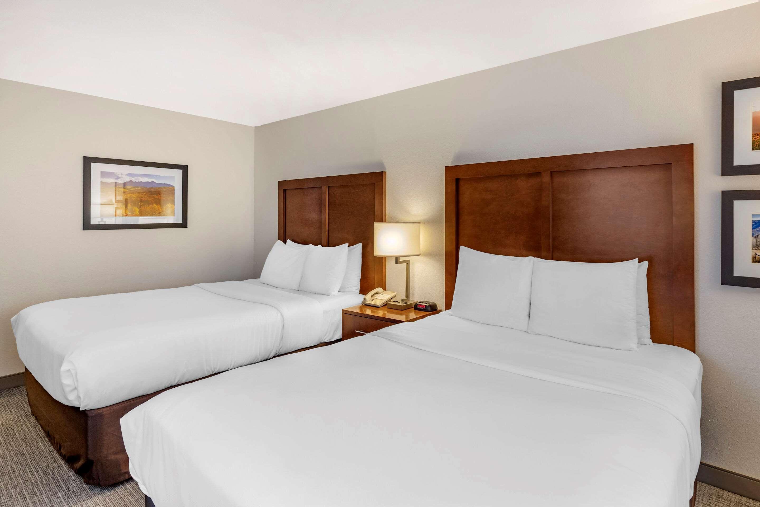Comfort Inn & Suites Carbondale On The Roaring Fork Экстерьер фото