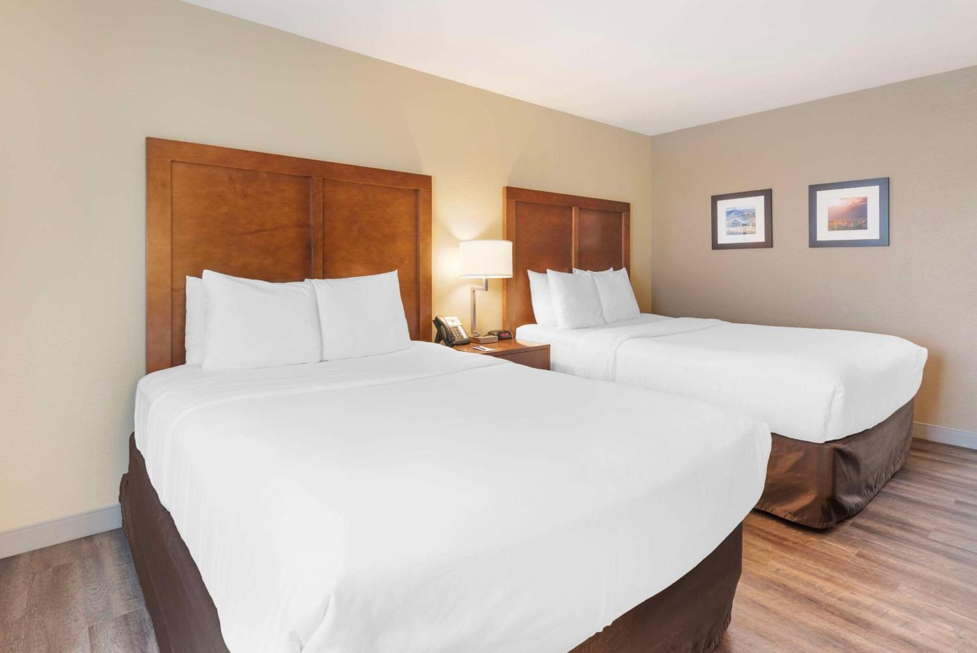 Comfort Inn & Suites Carbondale On The Roaring Fork Экстерьер фото