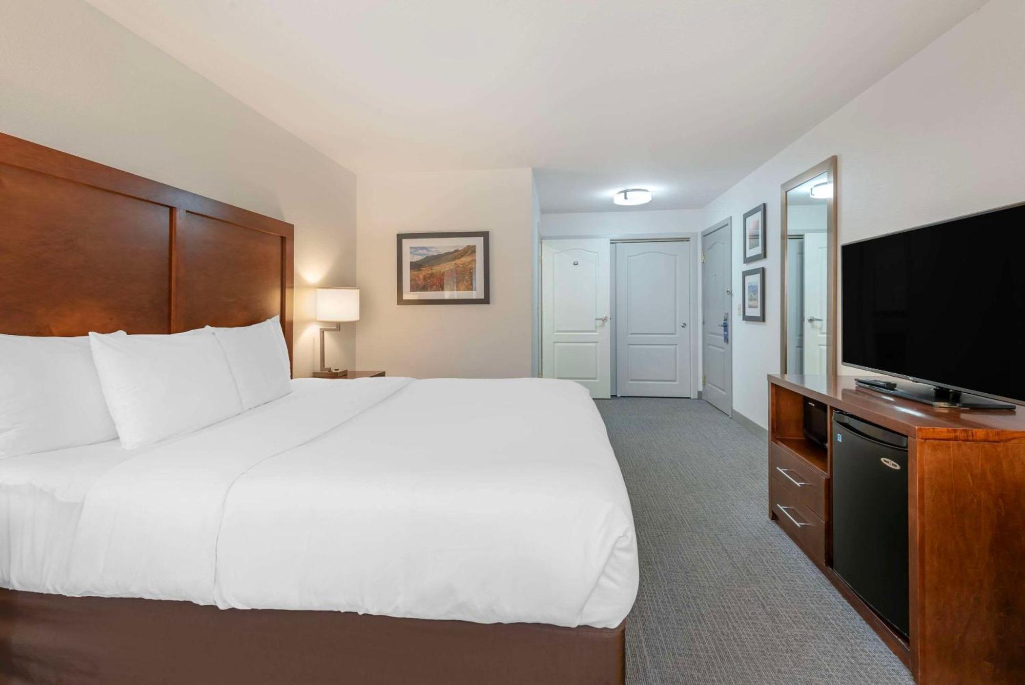 Comfort Inn & Suites Carbondale On The Roaring Fork Экстерьер фото